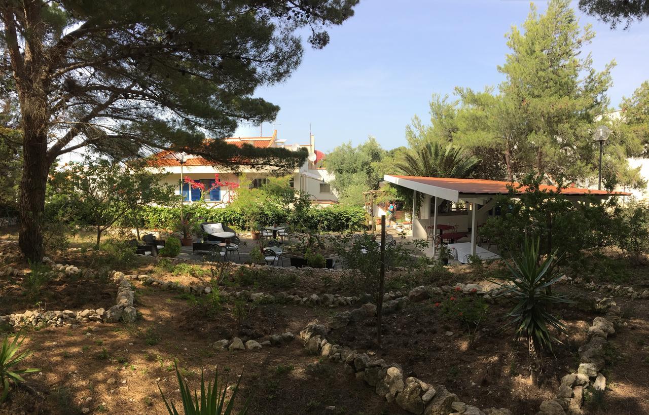 Le Viole Hotel San Domino
